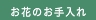 花のお手入れ